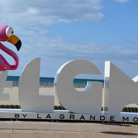 Superbe Studio Au Calme A 8Mn De La Plage La Grande-Motte Exterior photo