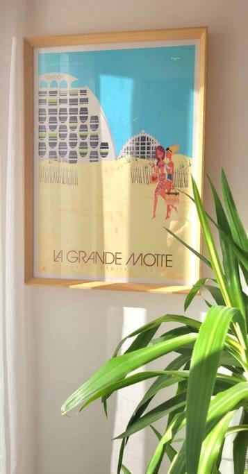 Superbe Studio Au Calme A 8Mn De La Plage La Grande-Motte Exterior photo